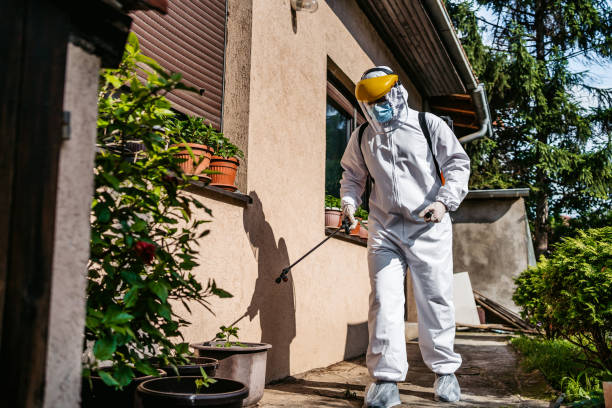 Best Wasp Removal Services  in Fillmore, UT