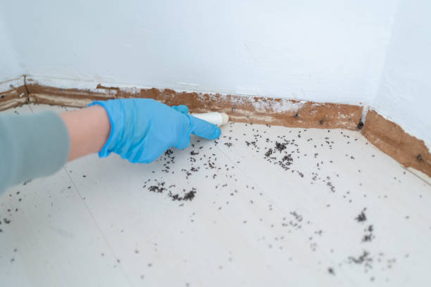 Best Exterminator Services  in Fillmore, UT